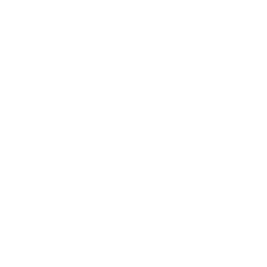 logo 02